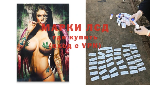 сатива Медногорск