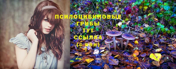 первитин Майский