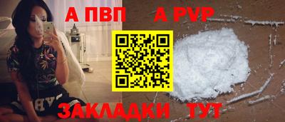 шишки Кандалакша