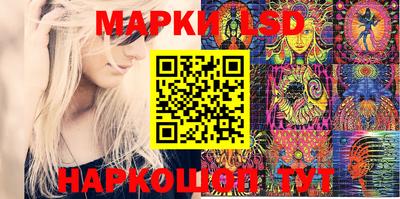 шишки Кандалакша