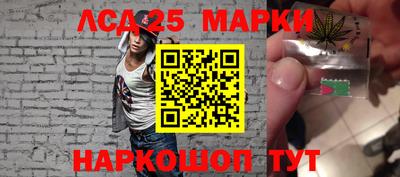 шишки Кандалакша