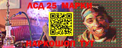 шишки Кандалакша