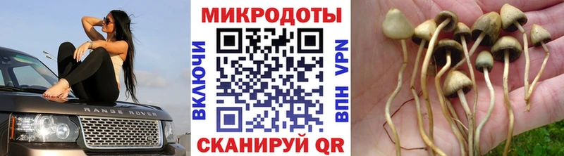 магазин продажи наркотиков  Сочи  Псилоцибиновые грибы Magic Shrooms 