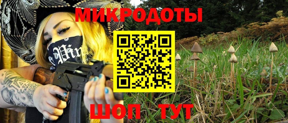 Галлюциногенные грибы прущие грибы Сочи
